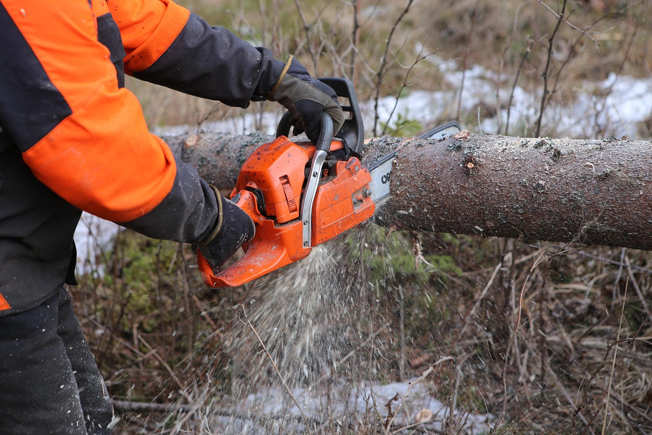 Chainsaw and safety gear resting on a log