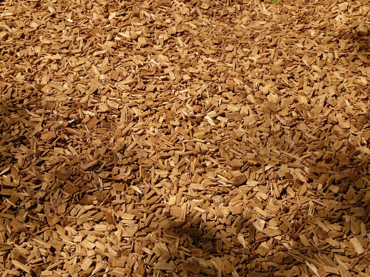 Garden bed covered in fresh wood chip mulch